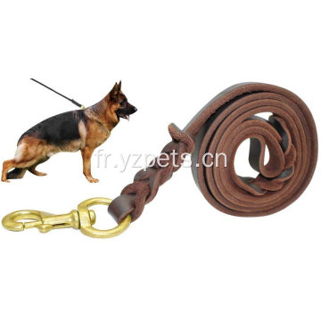 Laisse pour chien en cuir